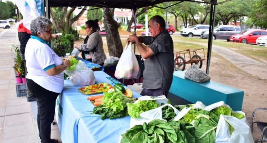 Este martes comienza la venta de bolsones saludables