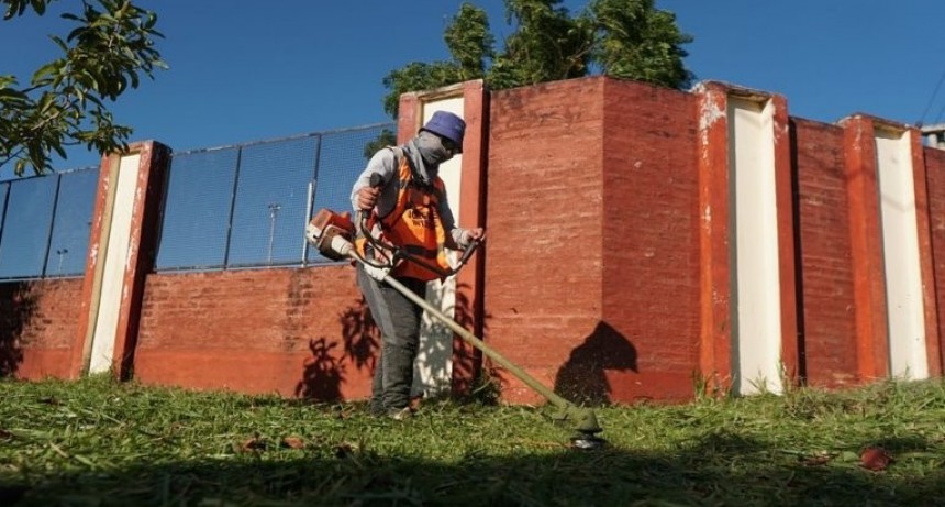 Espacios verdes y arbolado urbano en permanente mantenimiento por parte de la comuna capitalina