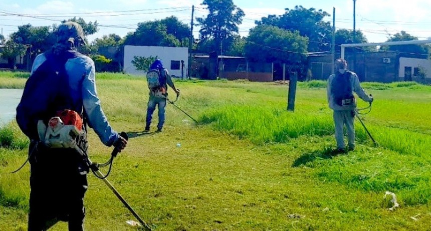 Activo desempeño de la comuna para el mantenimiento de espacios públicos en la ciudad