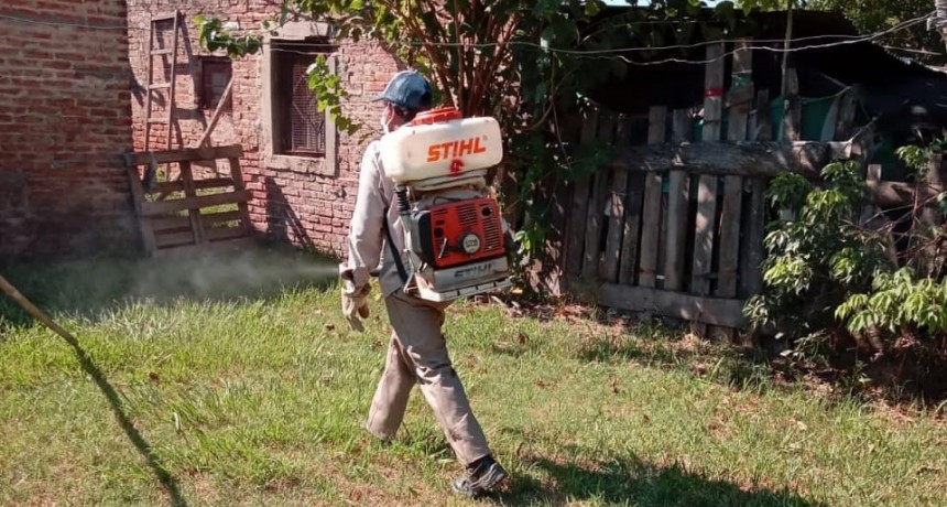 Siguen de forma ininterrumpida las fuertes acciones contra el dengue en toda la provincia
