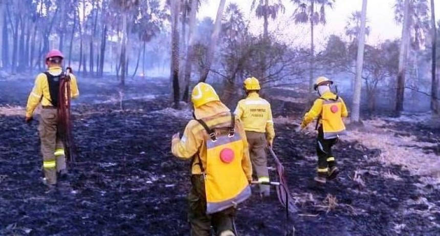 La Policía trabaja para extinguir incendios de pastizal que afecta a varios campos