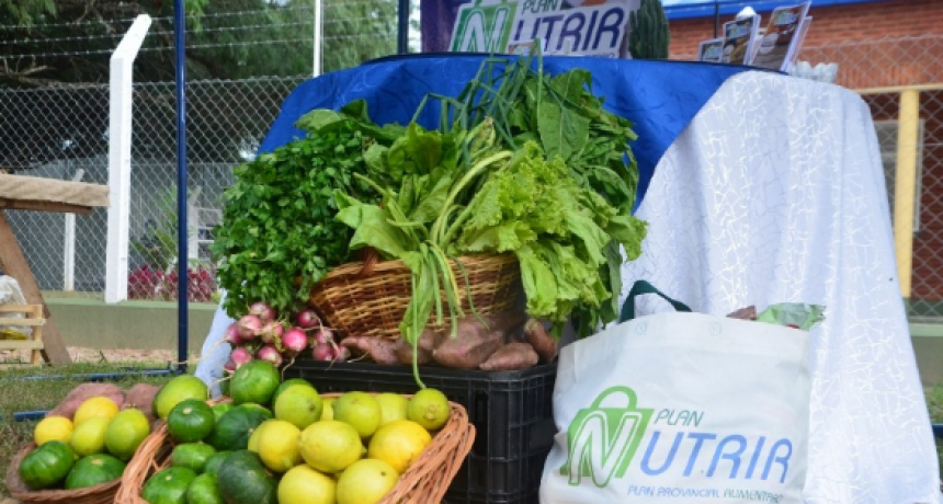 Plan Nutrir: Este viernes se realizó la entrega de beneficios en centros de distribución