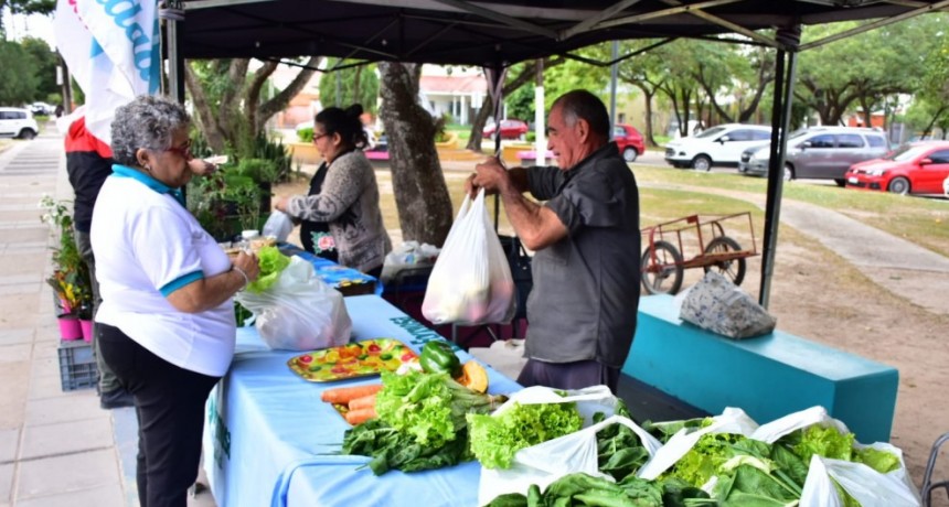 Habrá venta de bolsones saludables en varios puntos de la ciudad