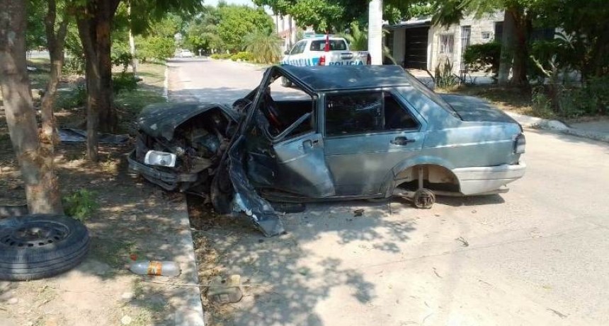Un conductor en estado de ebriedad chocó un árbol