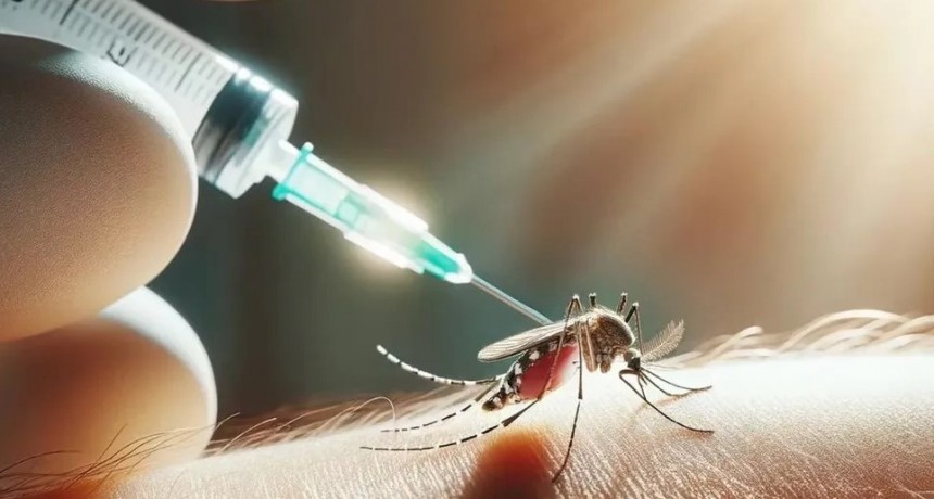 El Gobierno Central se niega a incluir la vacuna contra el dengue en el calendario nacional