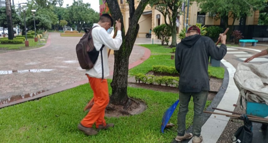 Permanente accionar del municipio para mantener y embellecer espacios públicos en la ciudad