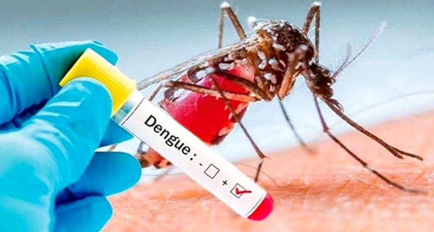 Dengue: Se diagnosticaron 167 casos nuevos en la última semana
