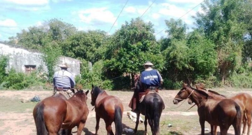 La Policía retiró de la RN 86 vacunos sueltos que ponían en riesgo la seguridad del tránsito