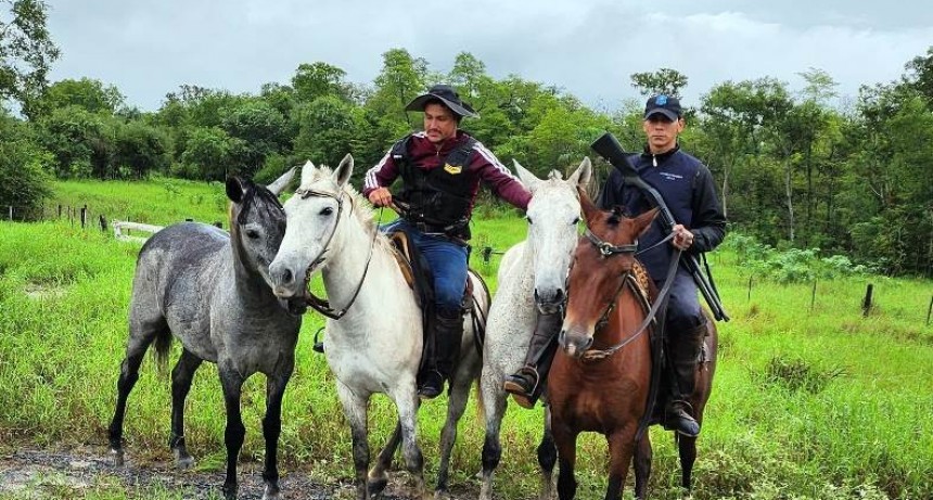 Efectivos de la Unidad Especial de Asuntos Rurales recuperaron dos caballos robados
