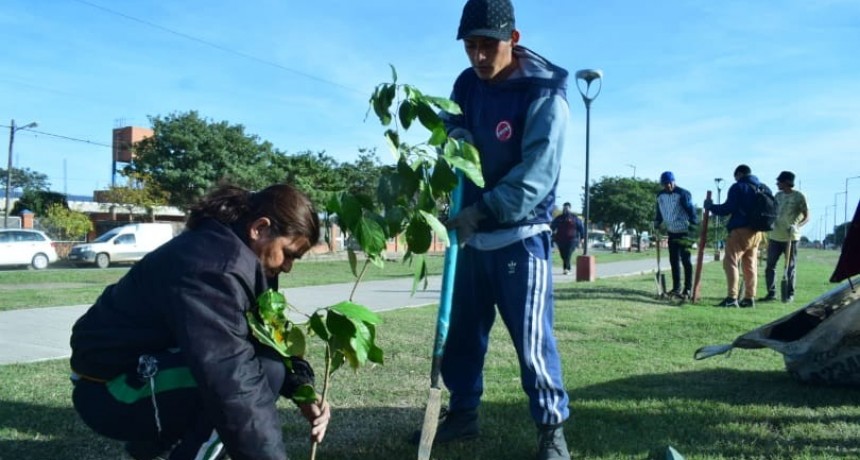 El municipio capitalino trabajó para el mantenimiento y hermoseo de los espacios públicos