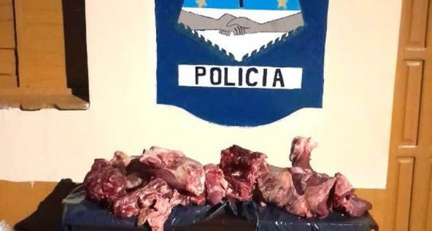 Secuestran carne transportada en forma irregular