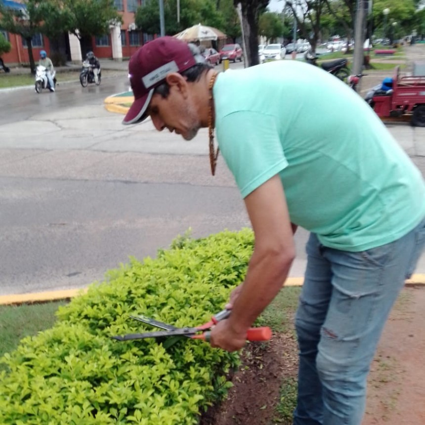 Activa intervención de Espacios Verdes de la comuna en distintos sectores de la ciudad