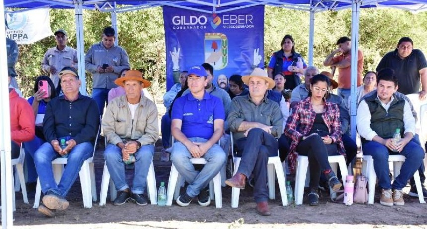 Jornada de fortalecimiento productivo del cultivo de mandioca con paipperos de Pozo del Tigre