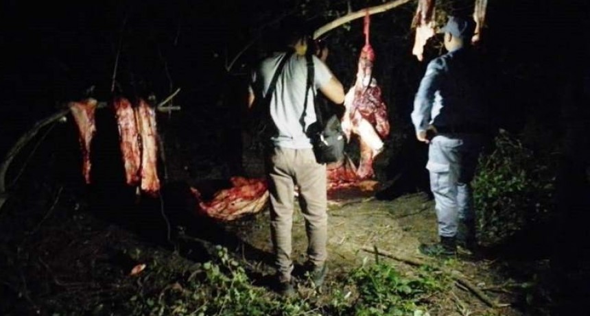Tres personas fueron demoradas y se secuestraron unos 280 kilos de carne