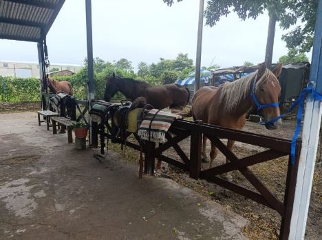 Se desarroll&oacute; la tercera jornada de capacitaci&oacute;n del Programa Provincial de Equinoterapia