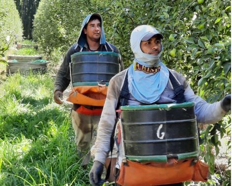 El RENATRE actualiz&oacute; la Prestaci&oacute;n por Desempleo y alcanza el monto m&aacute;ximo en $374.954