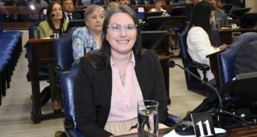 Villarruel: &ldquo;El aumento de la energ&iacute;a el&eacute;ctrica es una decisi&oacute;n pol&iacute;tica del Gobierno nacional