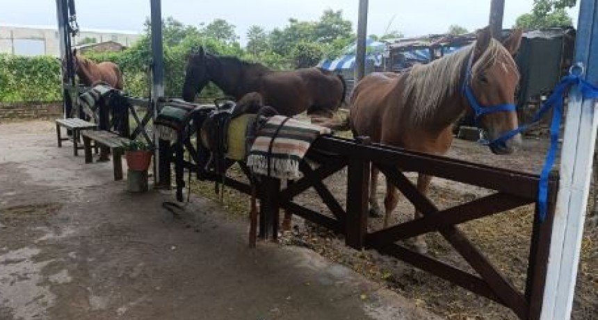 Se desarroll&oacute; la tercera jornada de capacitaci&oacute;n del Programa Provincial de Equinoterapia