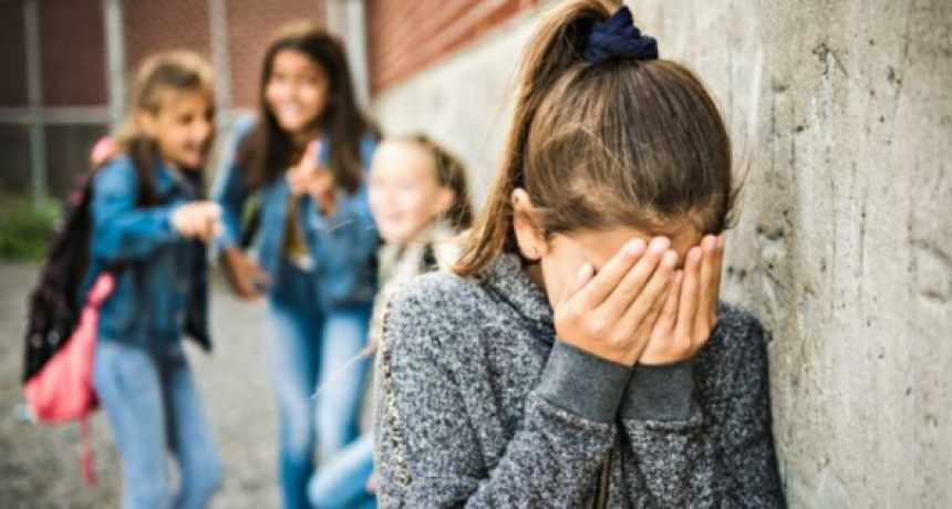 SeTIC, equipo interdisciplinario que trabaja con las instituciones y familias la problemática del bullying