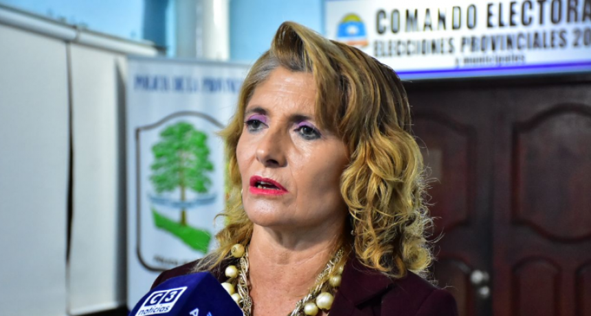 El Tribunal Electoral Permanente ya trabaja en el reconocimiento y la oficialización de candidatos