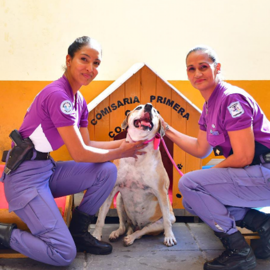 Ellos también cumplieron el sueño de la casa propia