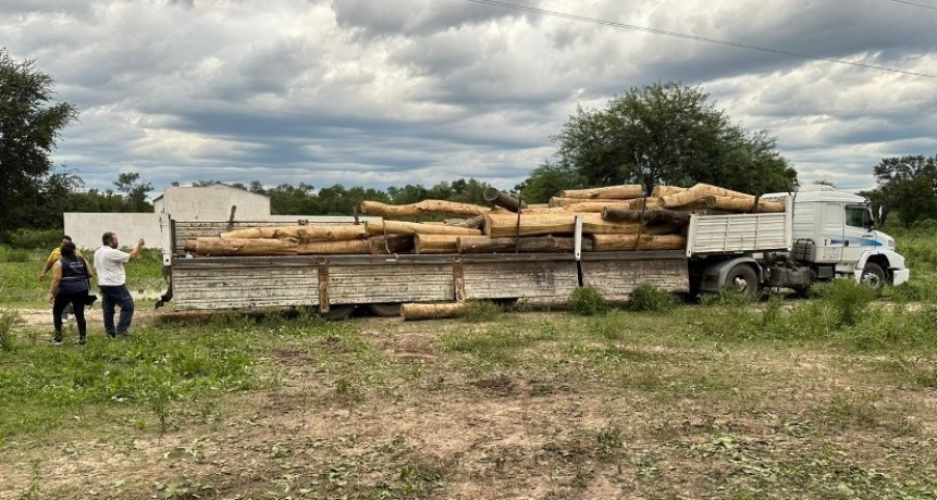 Se secuestraron 60 toneladas de palo santo y dos camiones con presunta documentación falsificada en Las Lomitas