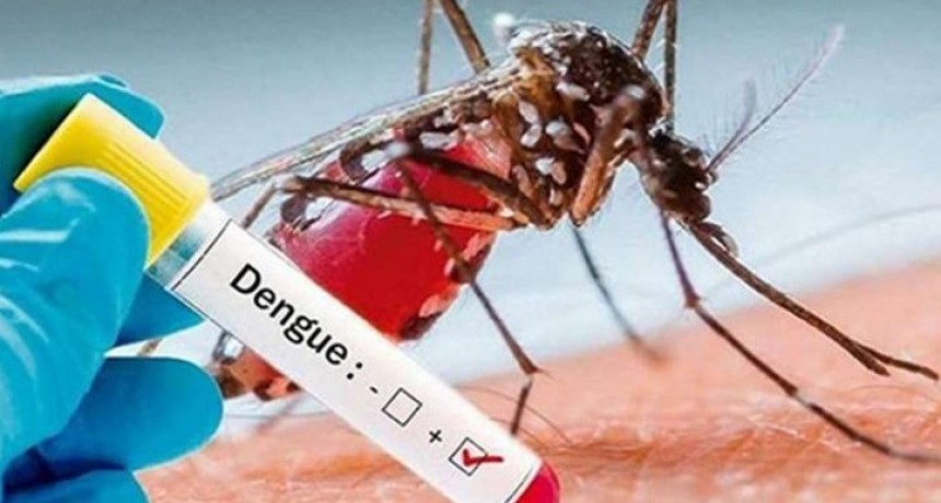 Informaron 162 casos nuevos de dengue en la última semana