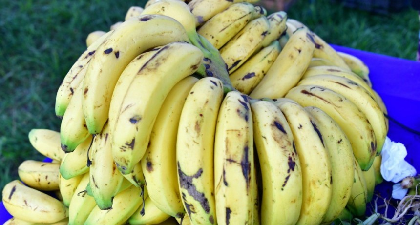 La feria paippera móvil continúa visitando los barrios capitalinos