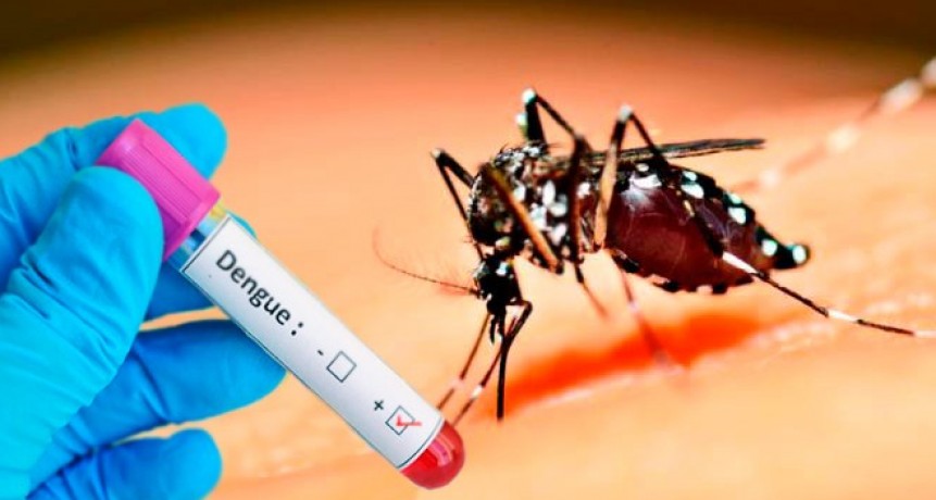 Formosa: casos de dengue de esta semana se mantuvieron igualados a la anterior