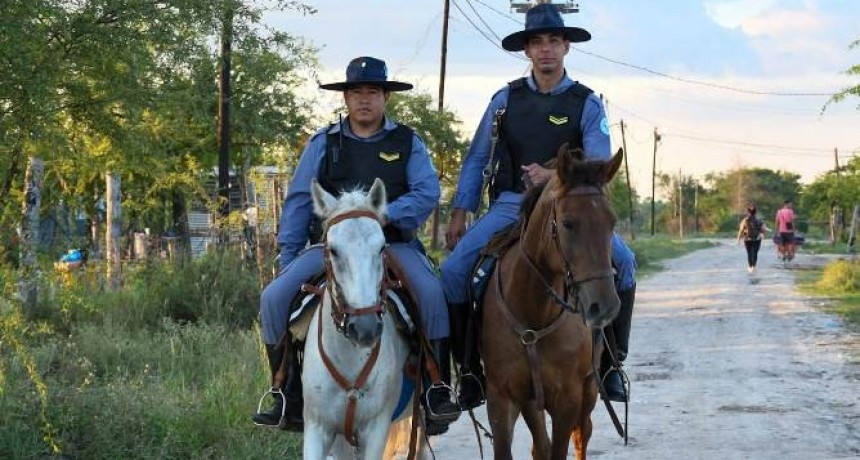Se secuestraron cuatro lechones faenados en el barrio Lote 110