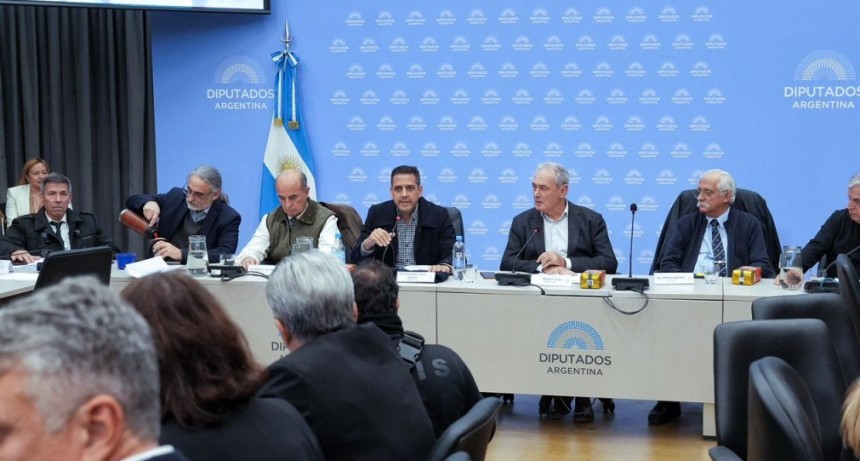 Referentes de la yerba mate reclaman que paren las importaciones