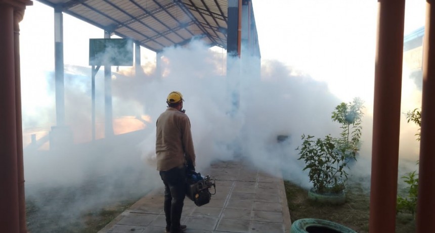 Instan a continuar con los cuidados necesarios para evitar contagiarse de dengue