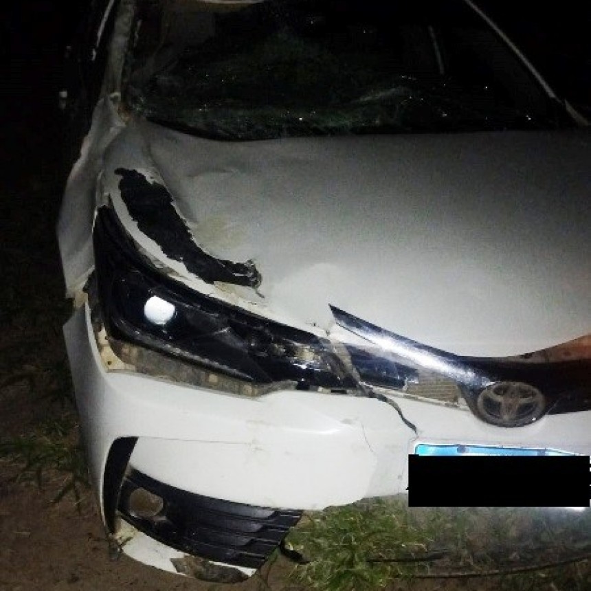 Un conductor embistió y mató a un caballo que se le cruzó en plena Ruta Nacional N° 81