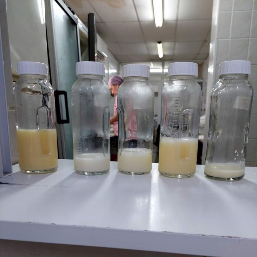 El domingo 19 de mayo se conmemora el Día Mundial de la Donación de leche Humana