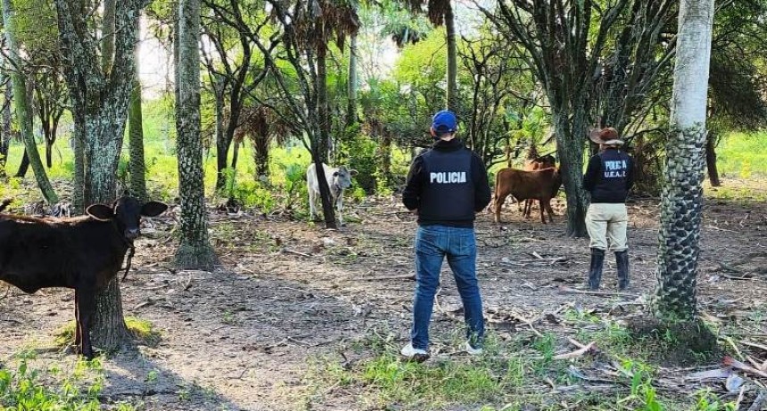 La Policía evitó el robo de vacunos y dio con los presuntos abigeos