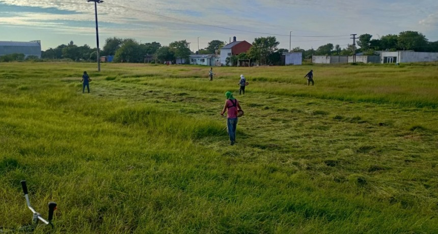 LA COMUNA EJECUTÓ TAREAS EN UN VASTO SECTOR DE LA CIUDAD 