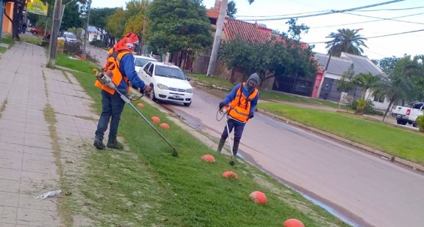 La comuna capitalina accionó para el mantenimiento del arbolado y espacios públicos de la ciudad