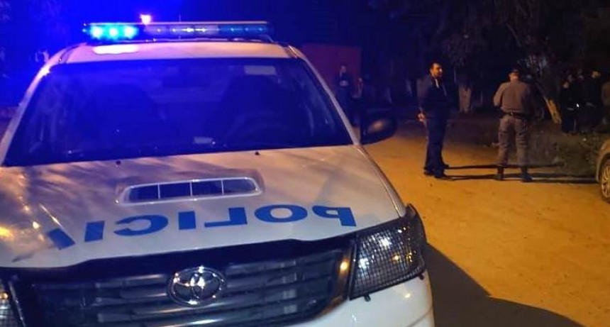 La Policía detuvo a un hombre, secuestró una vaca, una ternera y un revólver