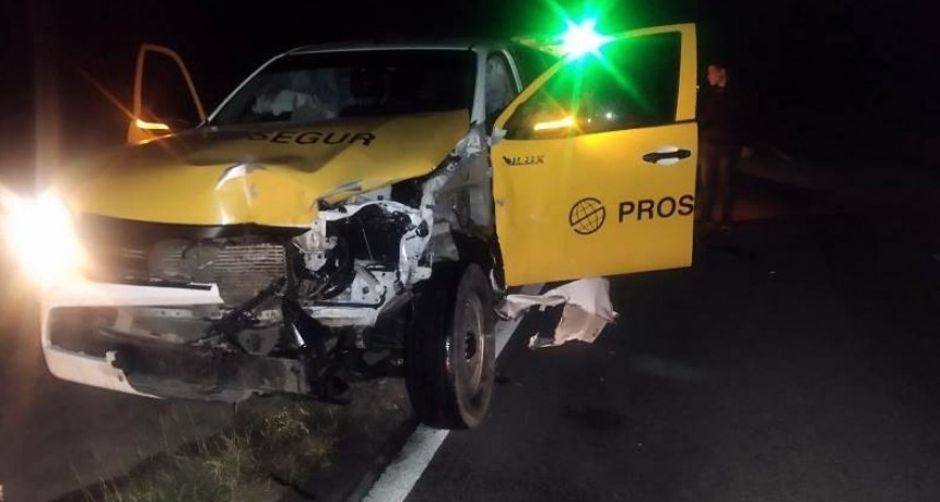 Un conductor sufrió lesiones graves al embestir a un vacuno que se cruzó en plena Ruta Nacional N° 81