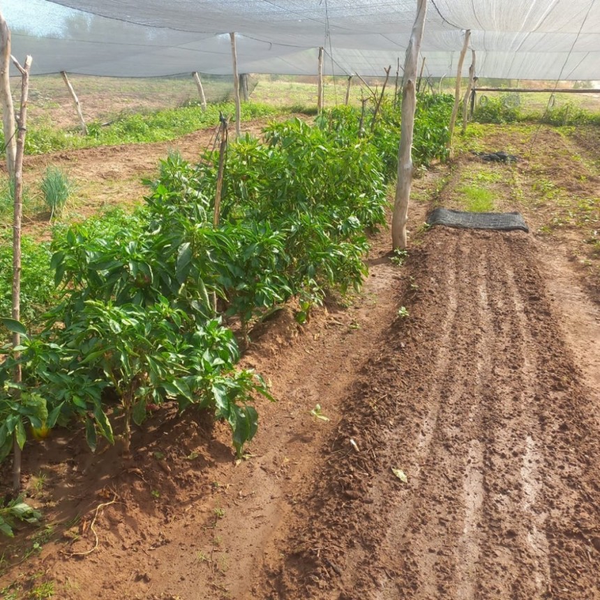 El Gobierno de Formosa asiste a productores paipperos con recursos provinciales a pesar del desfinanciamiento nacional