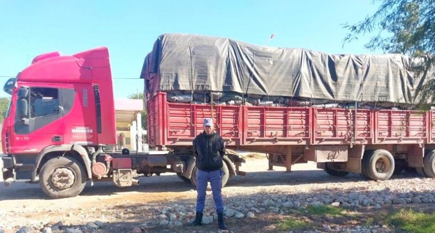 La Policía secuestró un camión con 28.000 kilos de carbón vegetal