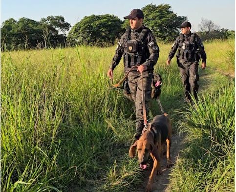  Fue a través de un eficaz despliegue de búsqueda en el monte