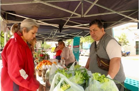 Continúa esta semana la venta de bolsones saludables