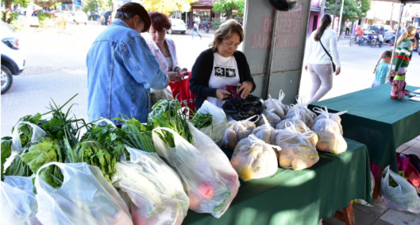 Jueves de Bolsones saludables