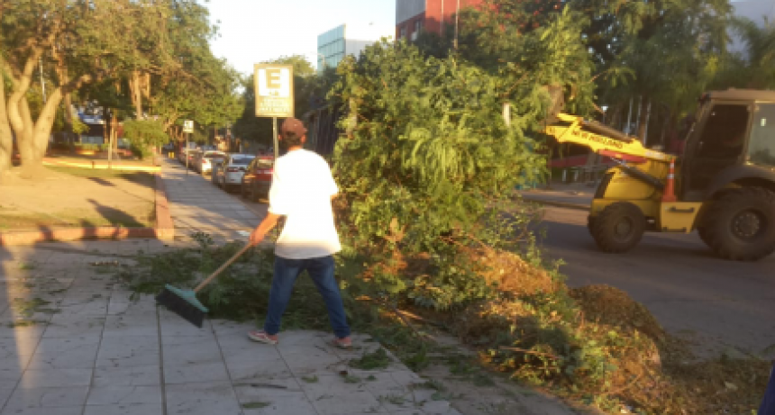 Desde Espacios Verdes del municipio acentúan trabajos en la ciudad