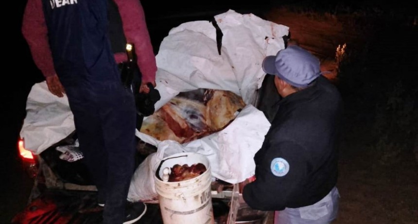 La Policía secuestró carne transportada sin respetar las condiciones de salubridad