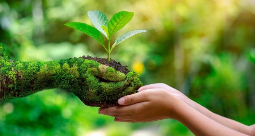 Por el Día Mundial del Medio Ambiente realizarán jornada de concientización en el Bañado La Estrella