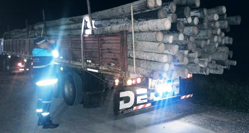 La Policía secuestró un camión con 28.000 kilos de rollos de “palma viva”