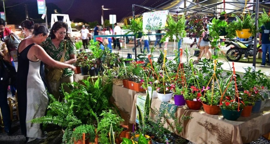 Se viene la 6ta Edición de la “Expo Viveros” en el Paseo de las Aves