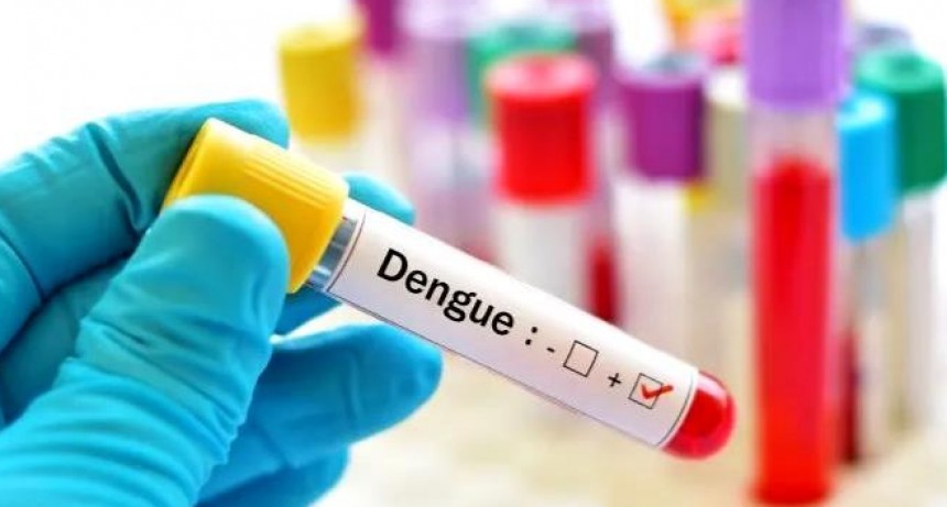Otro marcado descenso de los casos de dengue fue registrado en la última semana en la provincia
